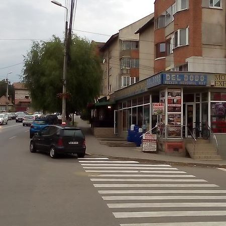 Ferienwohnung Garsoniera Del Dodo Alba Iulia Exterior foto