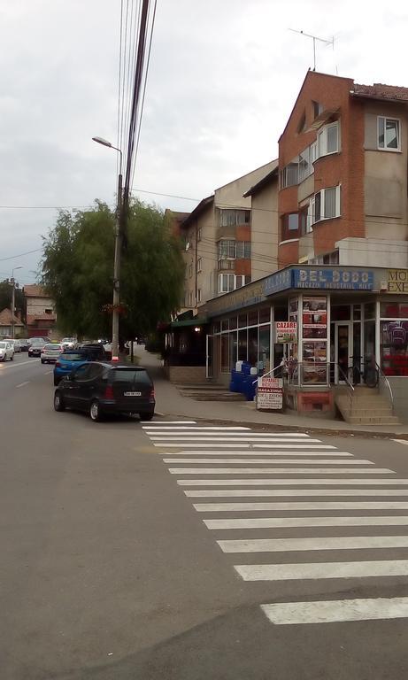 Ferienwohnung Garsoniera Del Dodo Alba Iulia Exterior foto